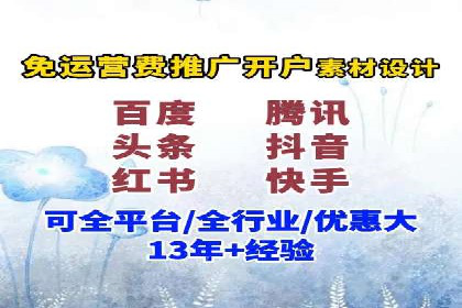 竞价广告的深度解析：以一知名品牌为例
